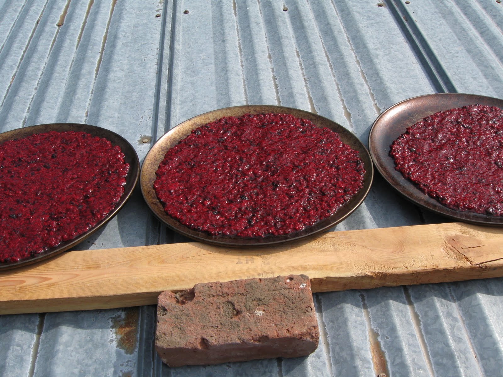 Our subsistence pattern: pellet stove dehydration unit #2