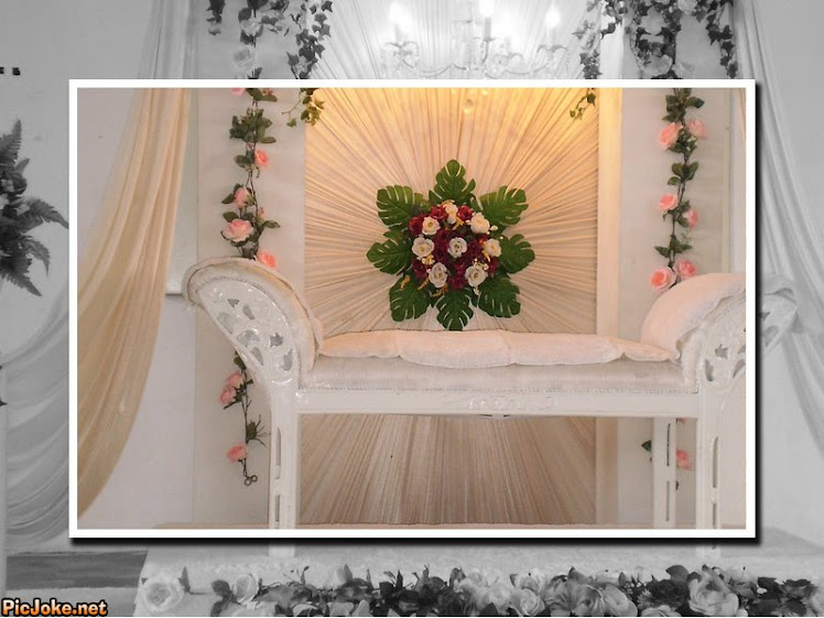 Pelamin Mini