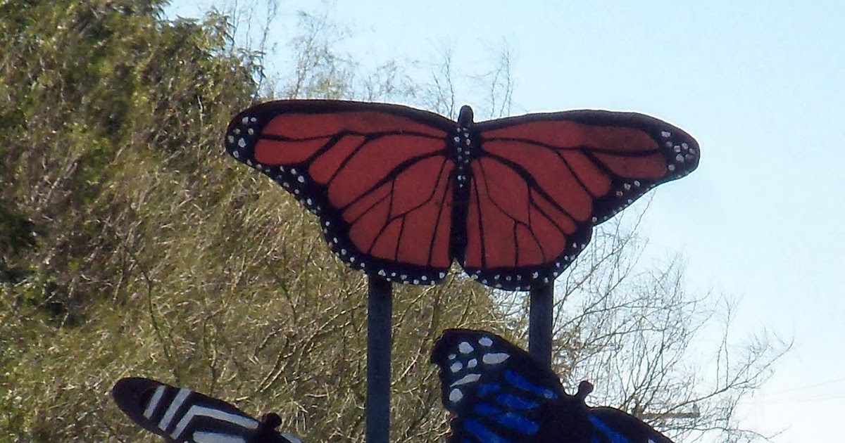 Traveling with the Longdogs National Butterfly Center in Mission TX