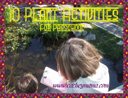 Cachey Mama's World of Learning: 10 Plant Activities for Preschool
