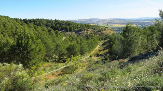 senda de bajada entre pinos senda de bajada entre pinos