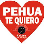 cultura pehuajó