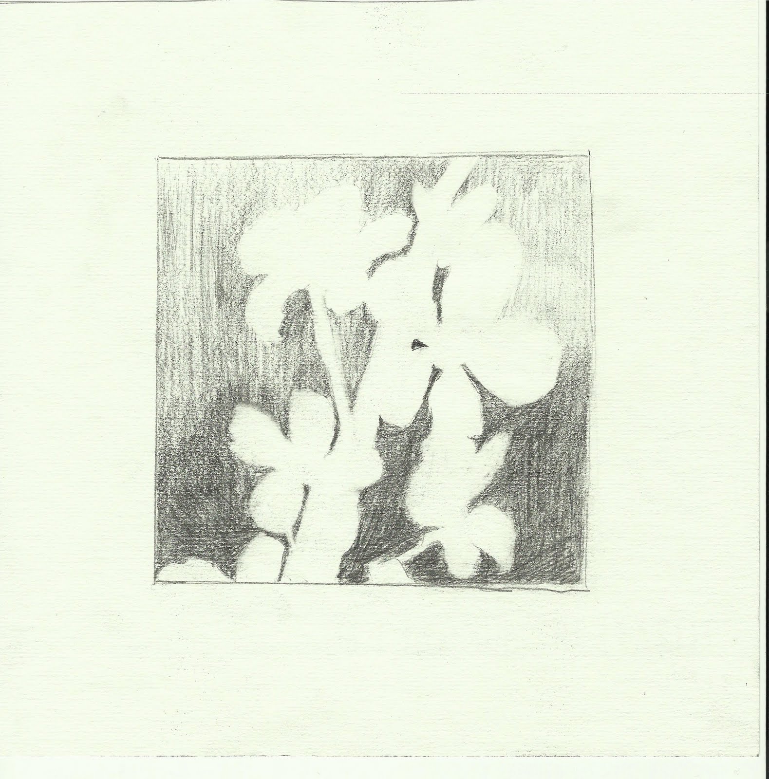 Negative Space Leaves