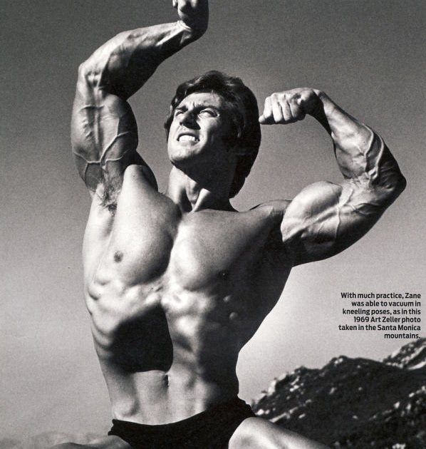 Frank Zane Bodybuilder Fitness & Bodybuilding blog