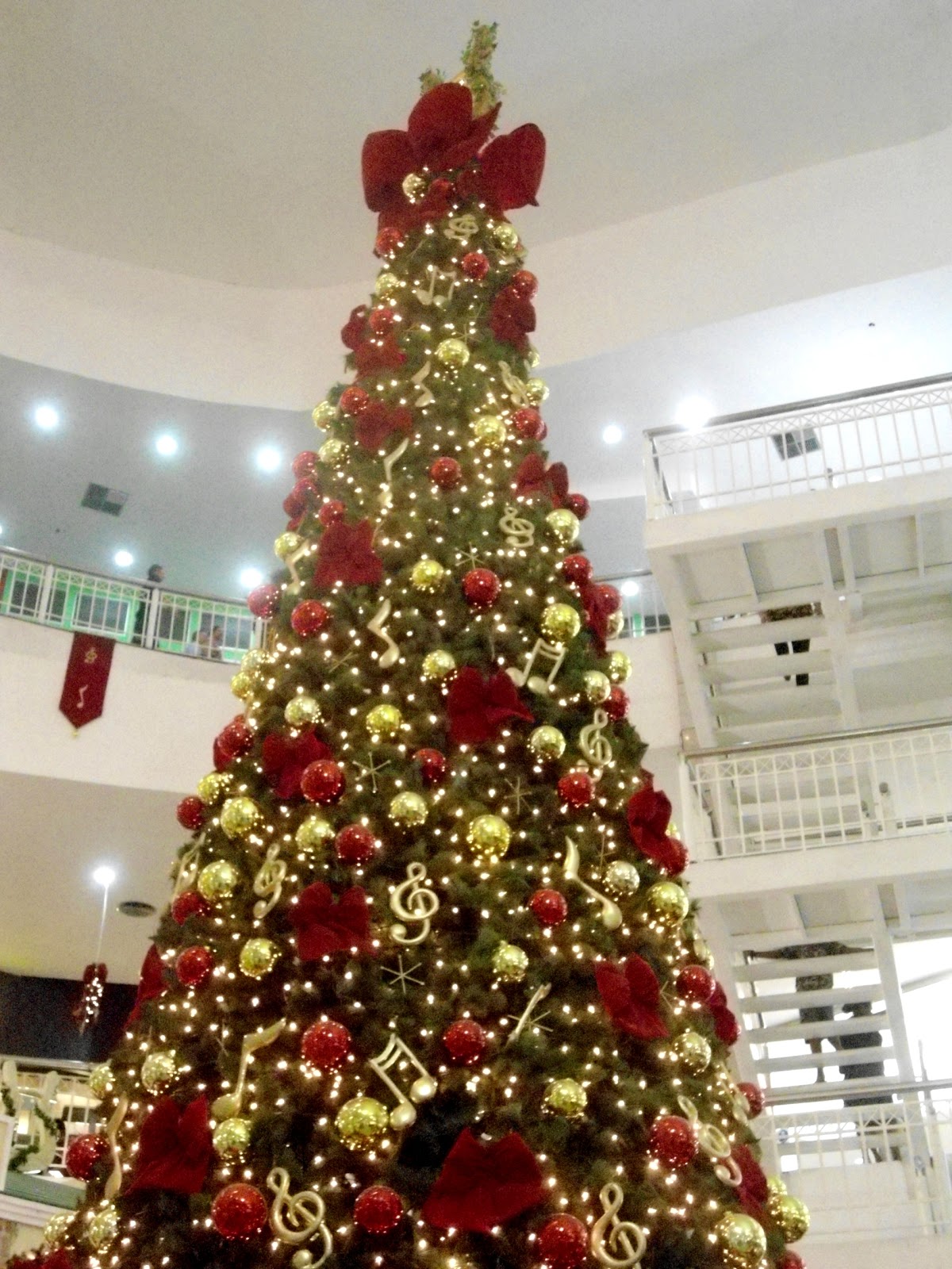 decoracao de arvore de natal tradicional:bem galerinha prometo fotografar as decorações de natal de outros decoracao de arvore de natal tradicional:bem galerinha prometo fotografar as decorações de natal de outros