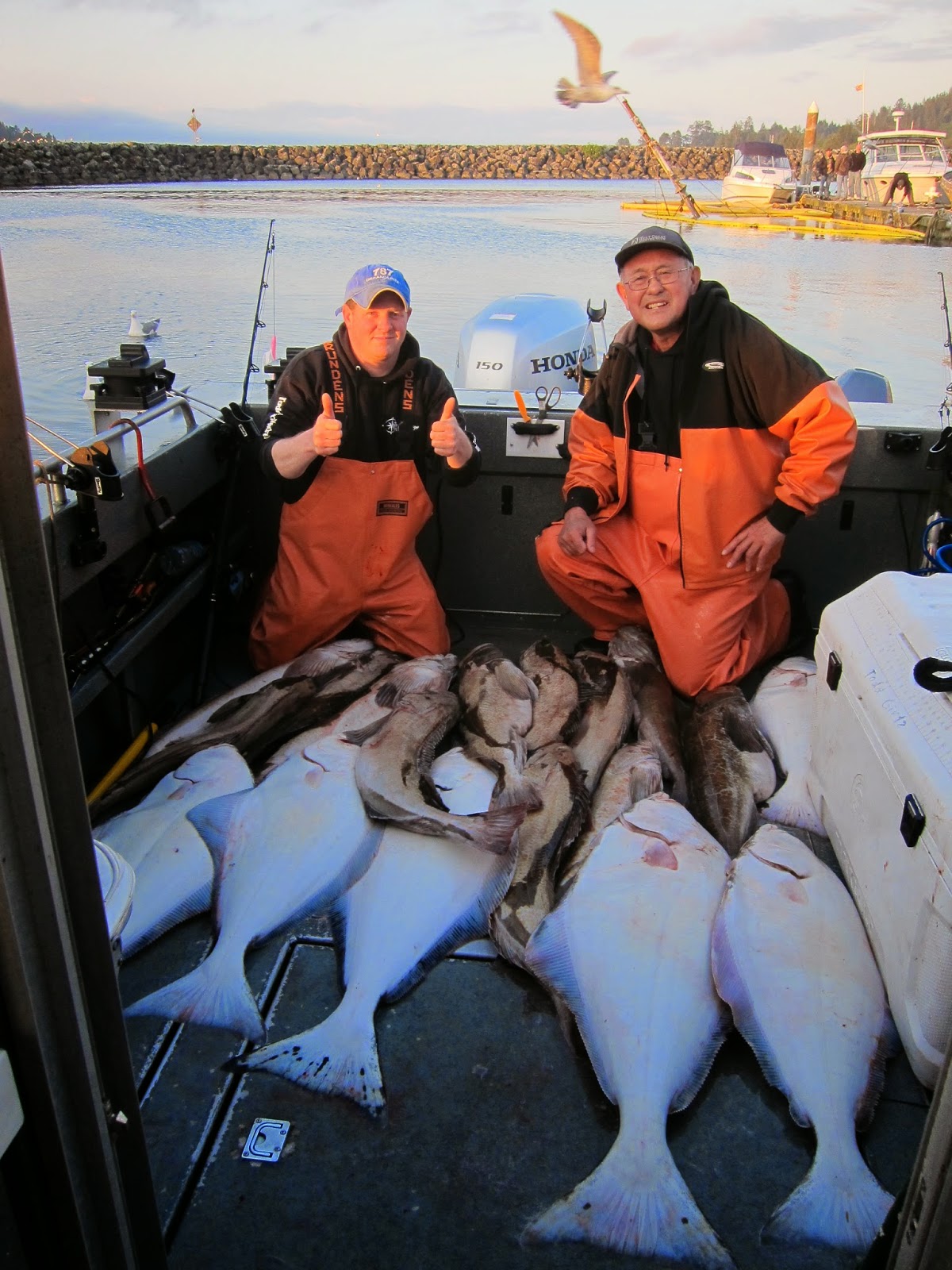 Todds Extreme Fishing Neah bay halibut, lingcod & rock fish