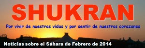 http://shukran.files.wordpress.com/2014/03/noticias_sahara_febrero_2014.pdf