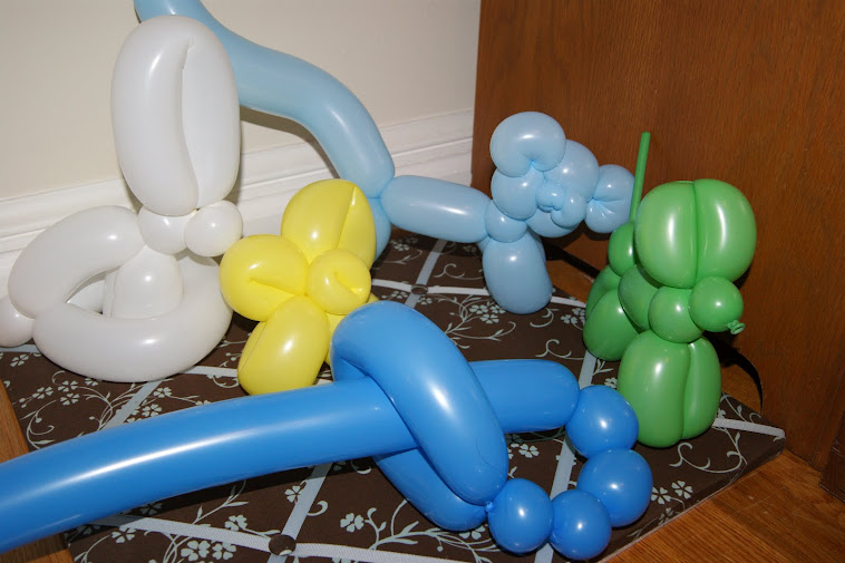 Animal balloons and more