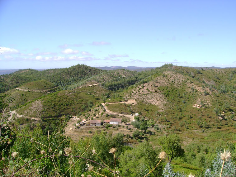 PAISAGEM DO INTERIOR PROFUNDO