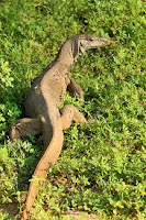 Periyar Wildlife Sanctuary