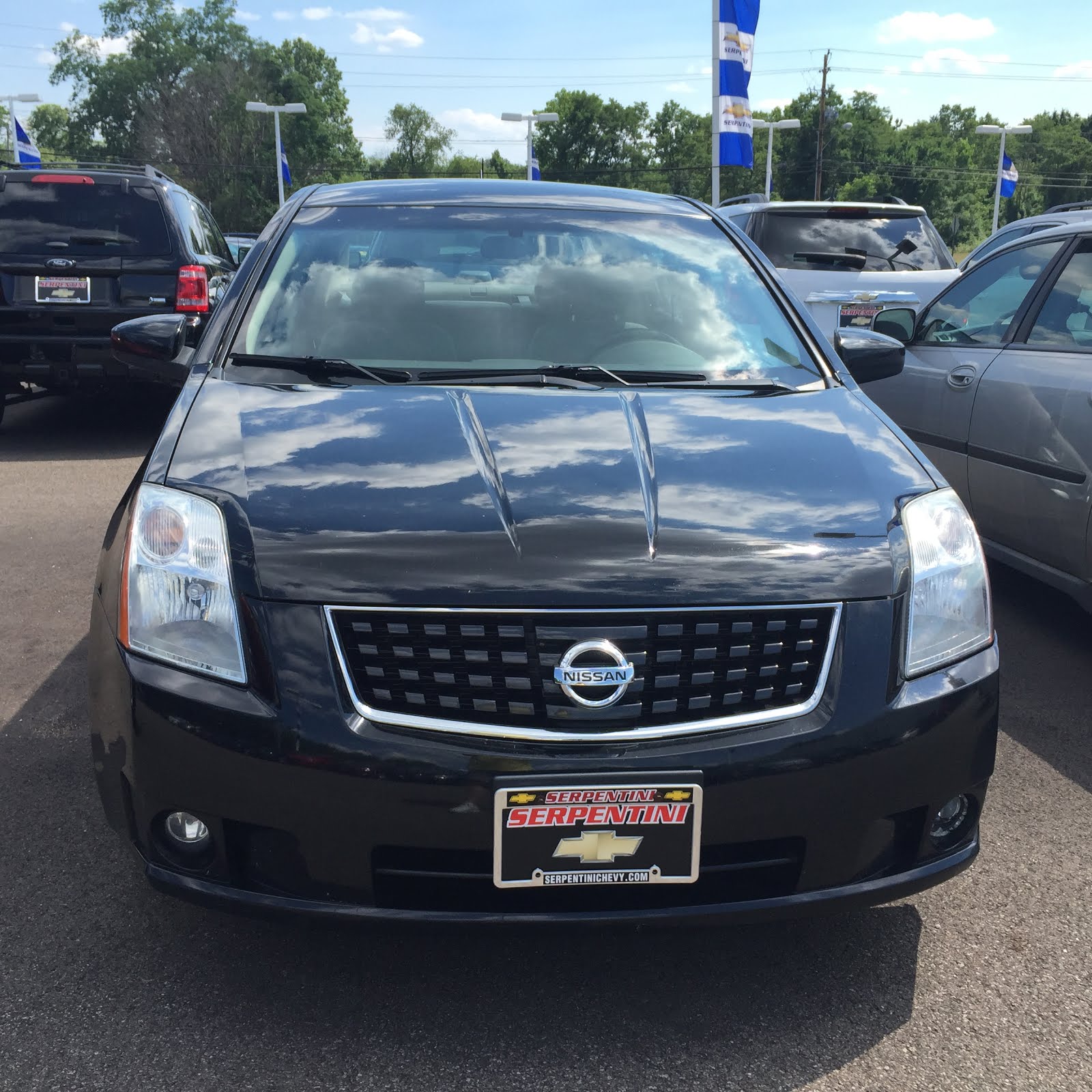 Mr. Ed's Photos of the Month