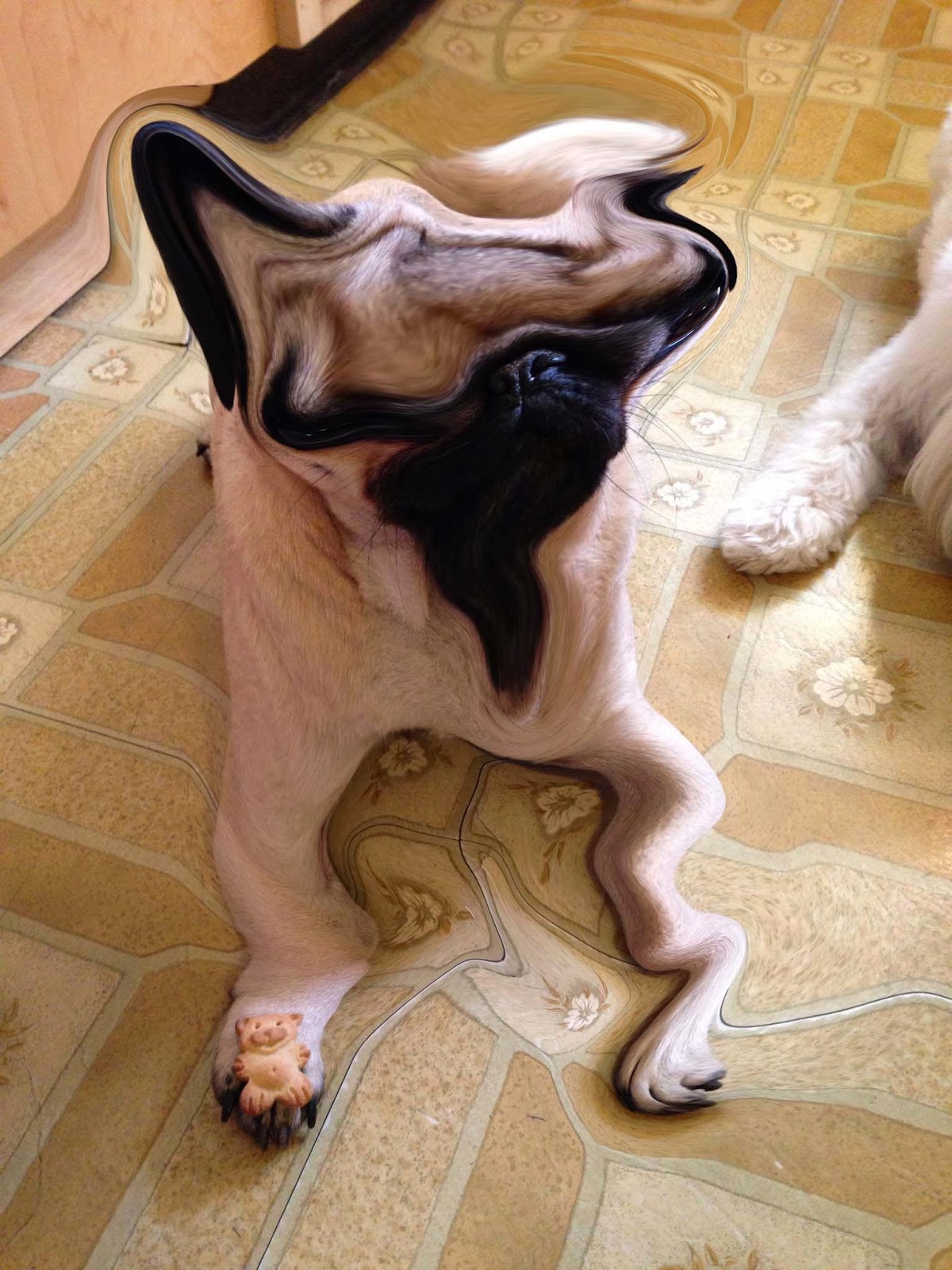 A Bowl of Noodles© Twas the Night Before Halloween. . . and I am