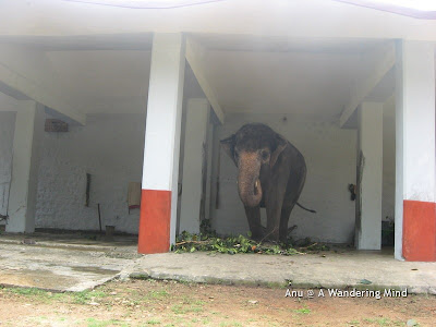 Elephant shed 1, Sringeri in Karnataka