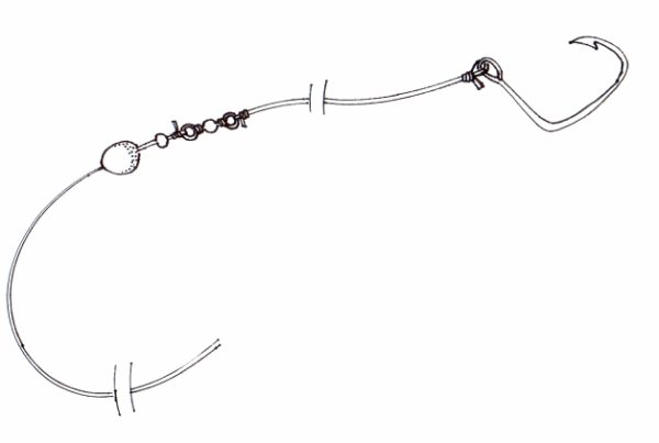 Download Halibut Fishing In The North Bay Clavey Paddlesports Desktop Wallpaper Get Wallpaper Halibut Fishing In The North Bay Clavey Paddlesports For iPhone