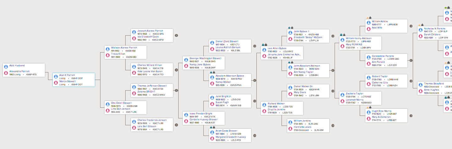 12 Generation Pedigree Chart - Single in LDS Family History on