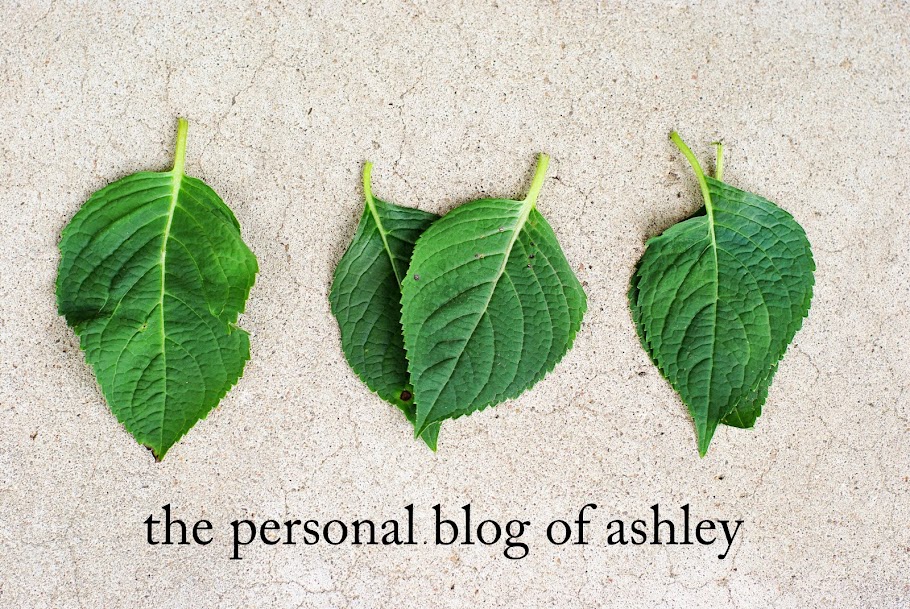 Ashley's Photography and More Blog