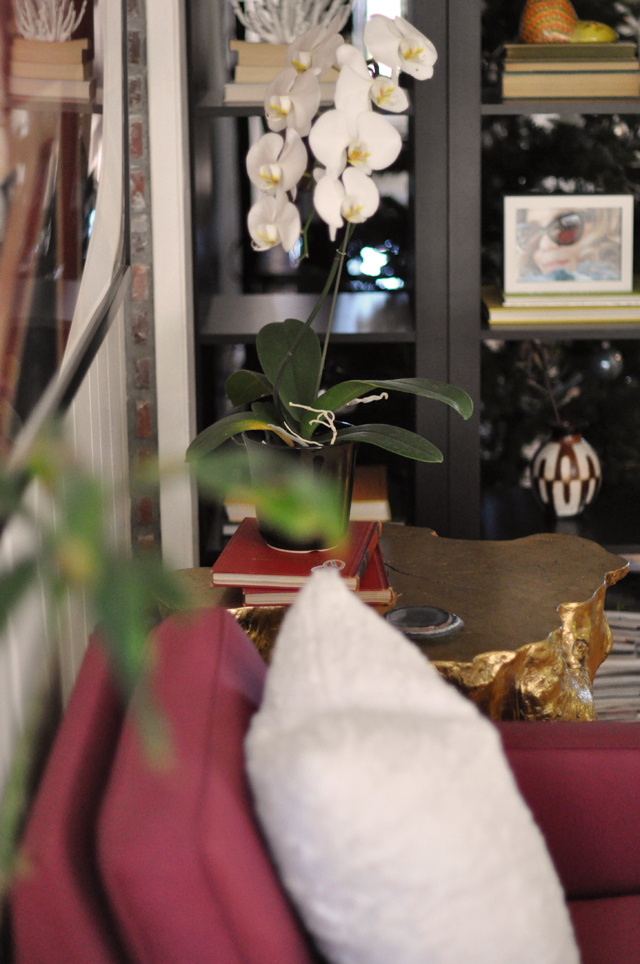 white orchids, decor details