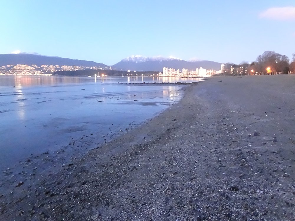 aka Bailey Enjoying Kitsilano Beach on a Clear Vancouver Night