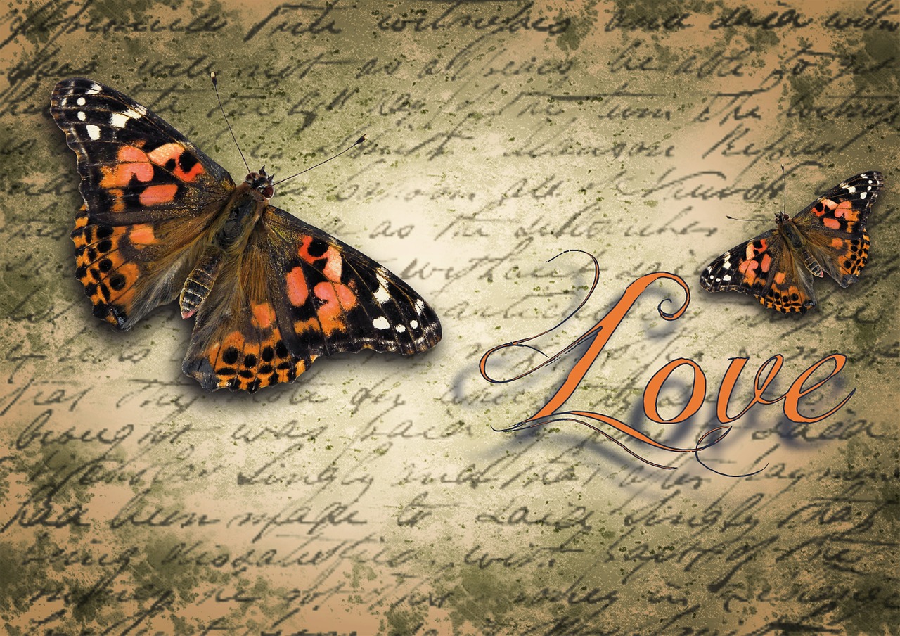 Love Butterfly.
