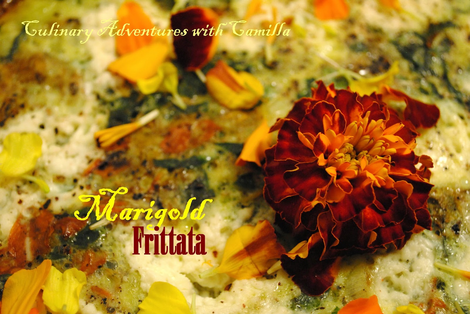 Culinary Adventures with Camilla: Marigold Frittata