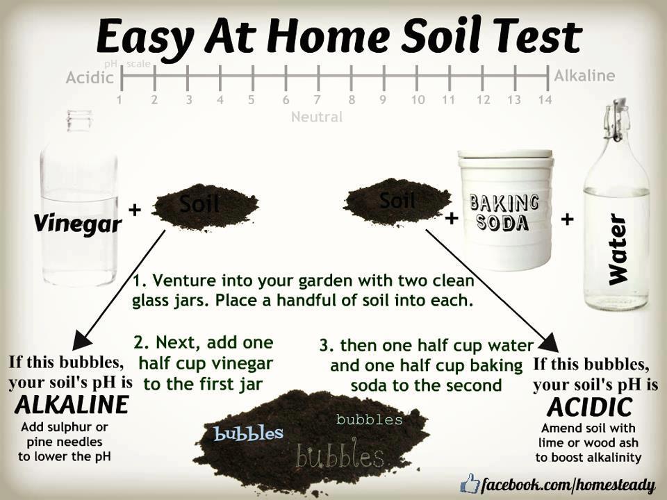 soil test soil test