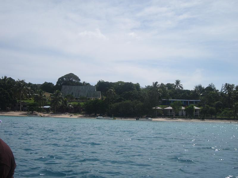 Pacific Island Looking Roofing Pacific Island Looking Roofing