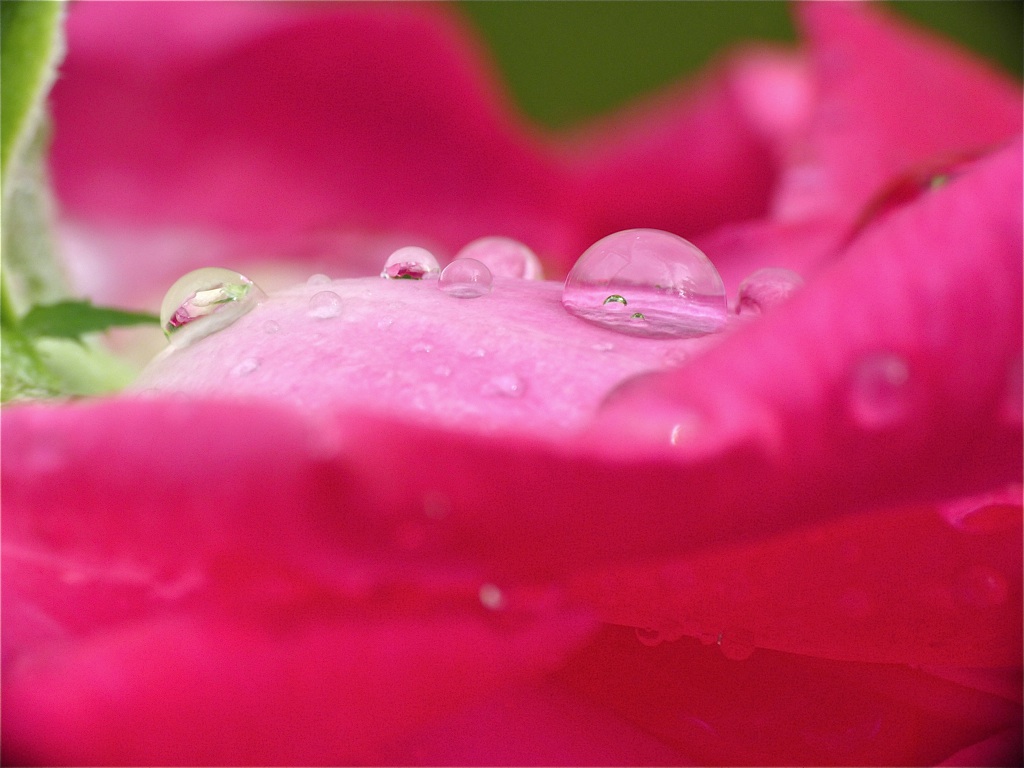 Pieces of Contentment Gift of Grace