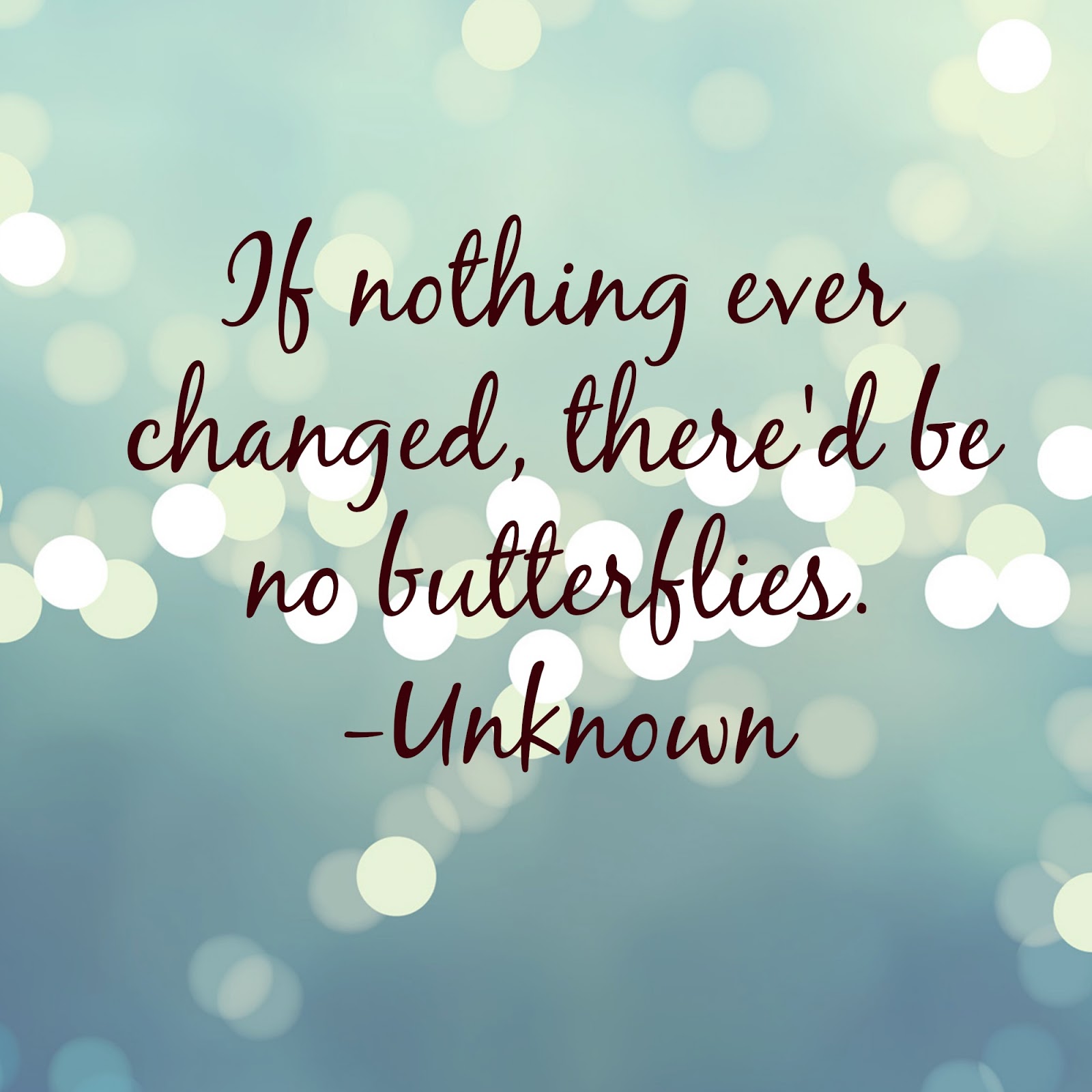 Quote of the Day :: If nothing ever changed, there'd be no butterflies