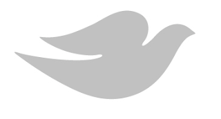 History of All Logos: All Dove Logos
