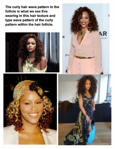 All About Healthy Hair Your Type 3 Hair