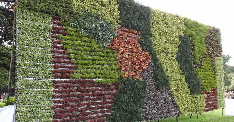 சுவர் தோட்டம்   ( Wall Gardening )
