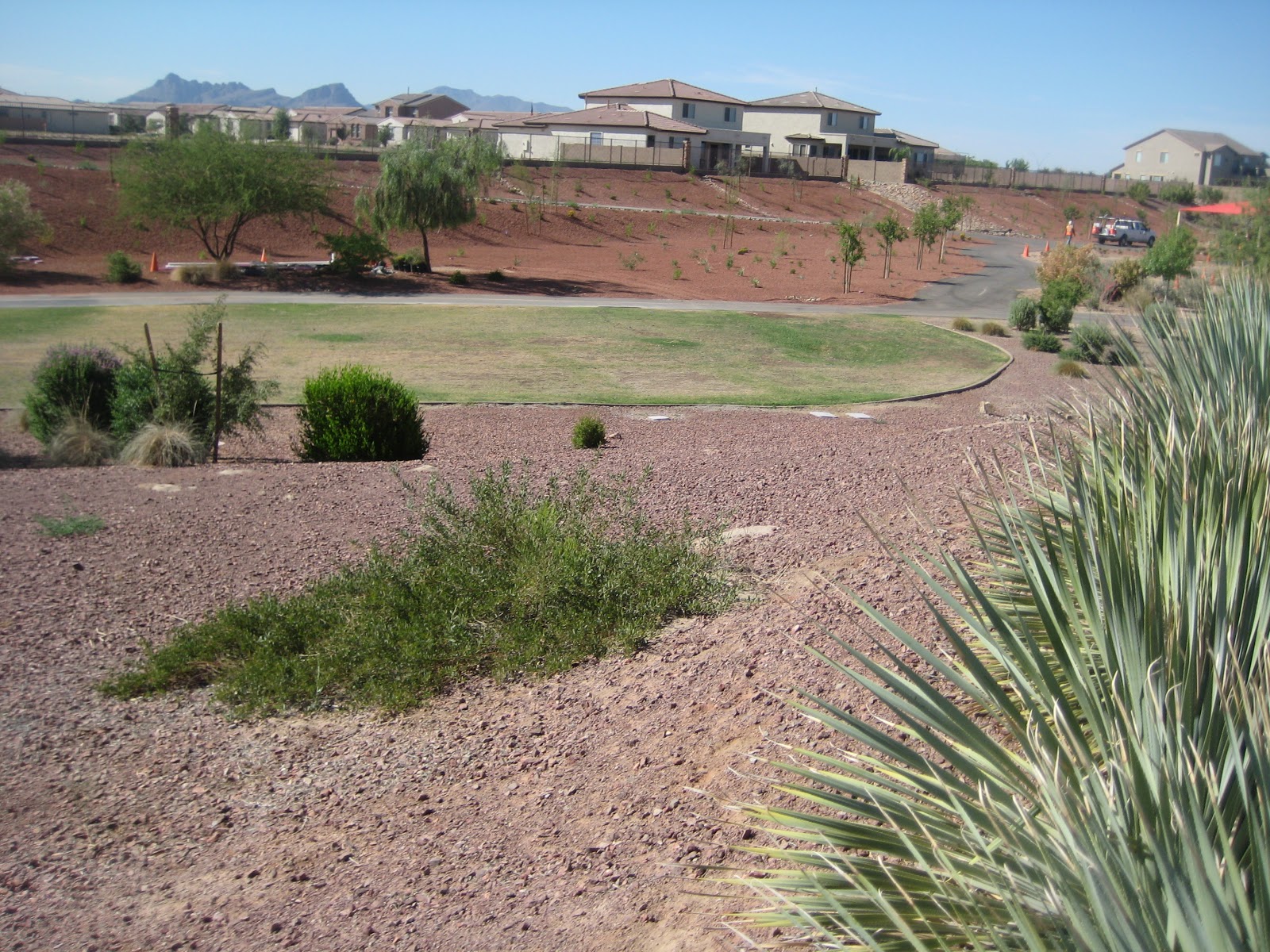 LIFE in TUCSON Homes for Sale In Gladden Farms, Marana AZ
