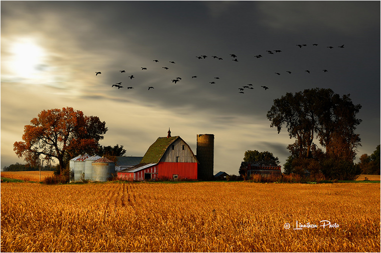 Emerging Photographers, Best Photo of the Day in Emphoka by Michael Linnihan Emerging Photographers, Best Photo of the Day in Emphoka by Michael Linnihan