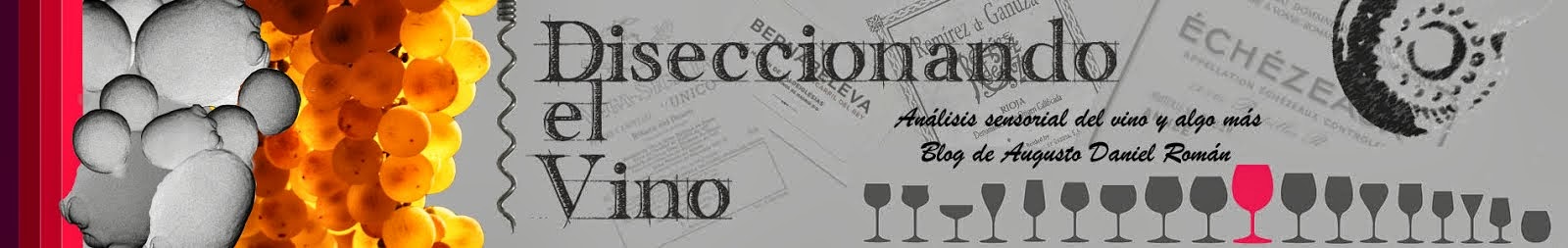 Diseccionando el Vino