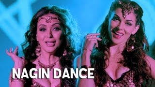 Dance Dance