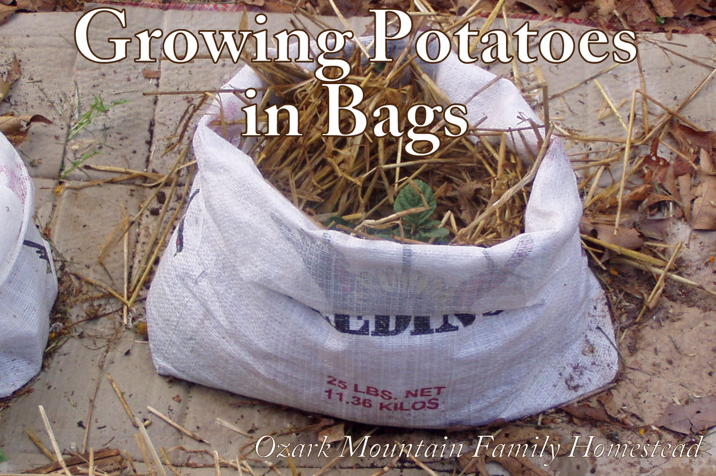 Ozark Mountain Family Homestead Growing Potatoes in Bags