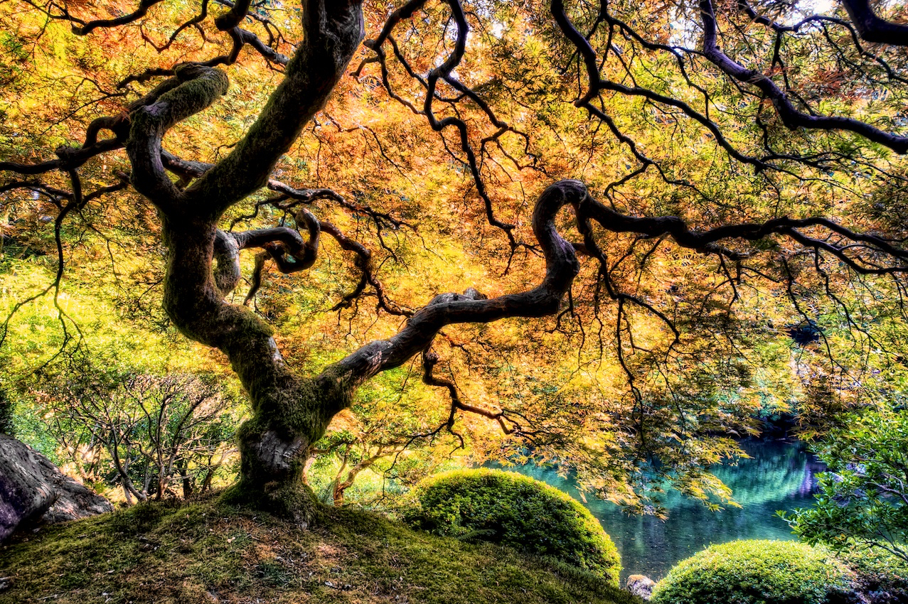 Bible Gems for Friendship January 2016