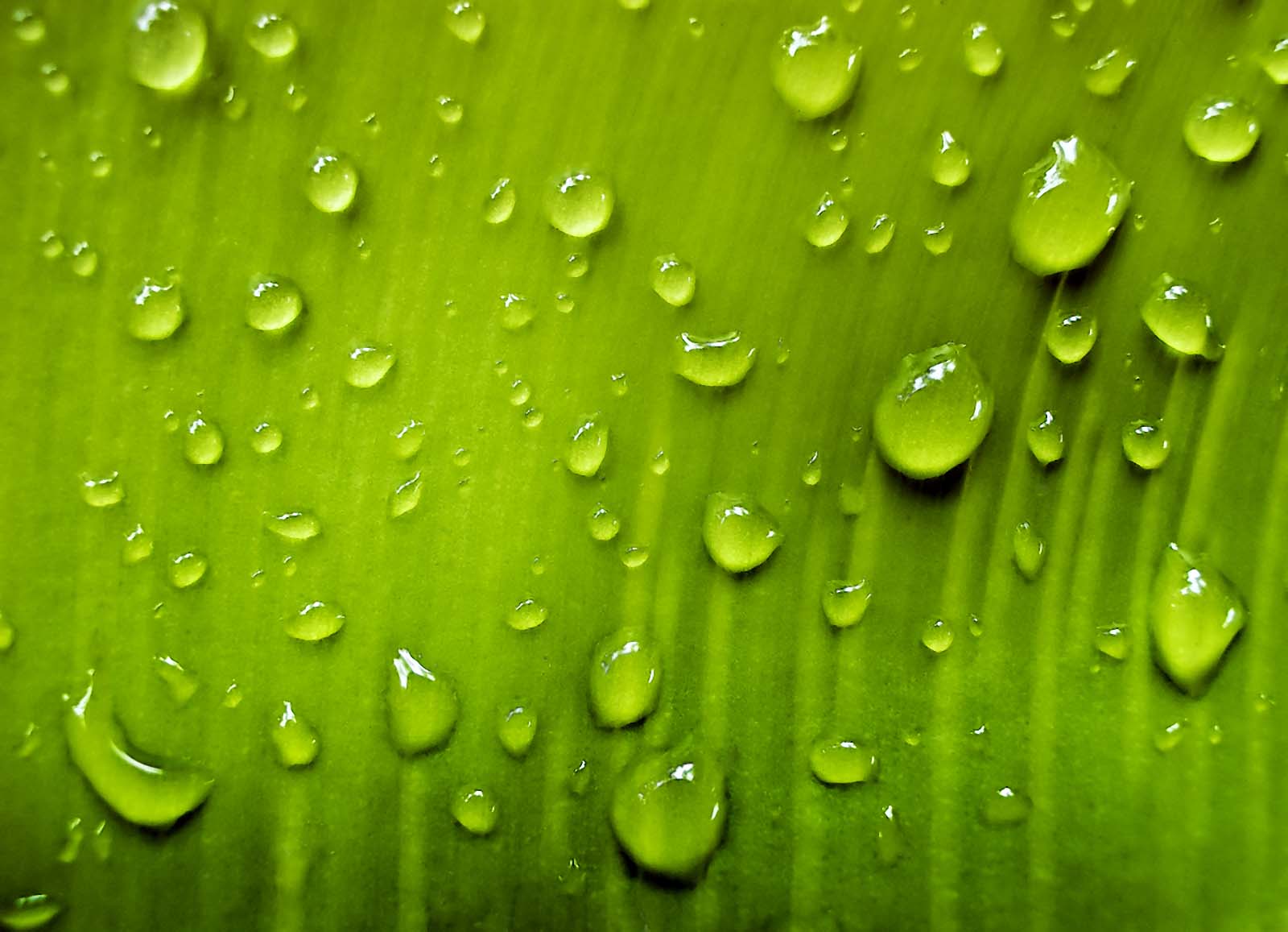 http://2.bp.blogspot.com/-QZ7EOjgl18I/TfOVIB3LH2I/AAAAAAAAB-Y/j3CBIHTx4qQ/s1600/Water%20Drop%209.jpg