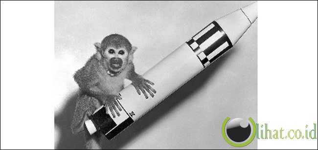 Baker dari Amerika Serikat Baker dari Amerika Serikat