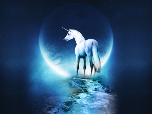 Pferde Tiere Gesundheit Soziales Zeitgeist 2012 09 23