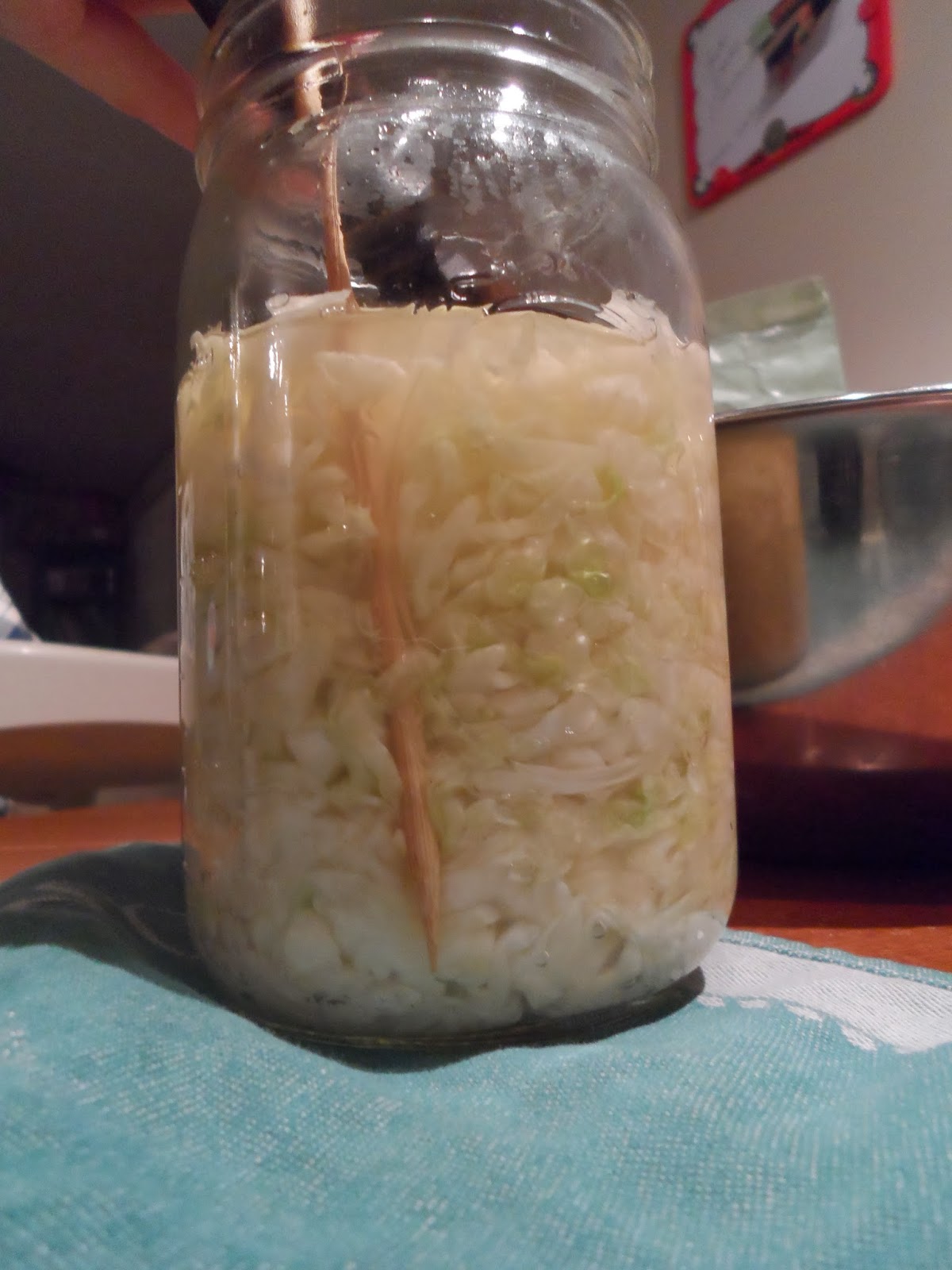 Earthworms and Marmalade Sauerkraut Basics