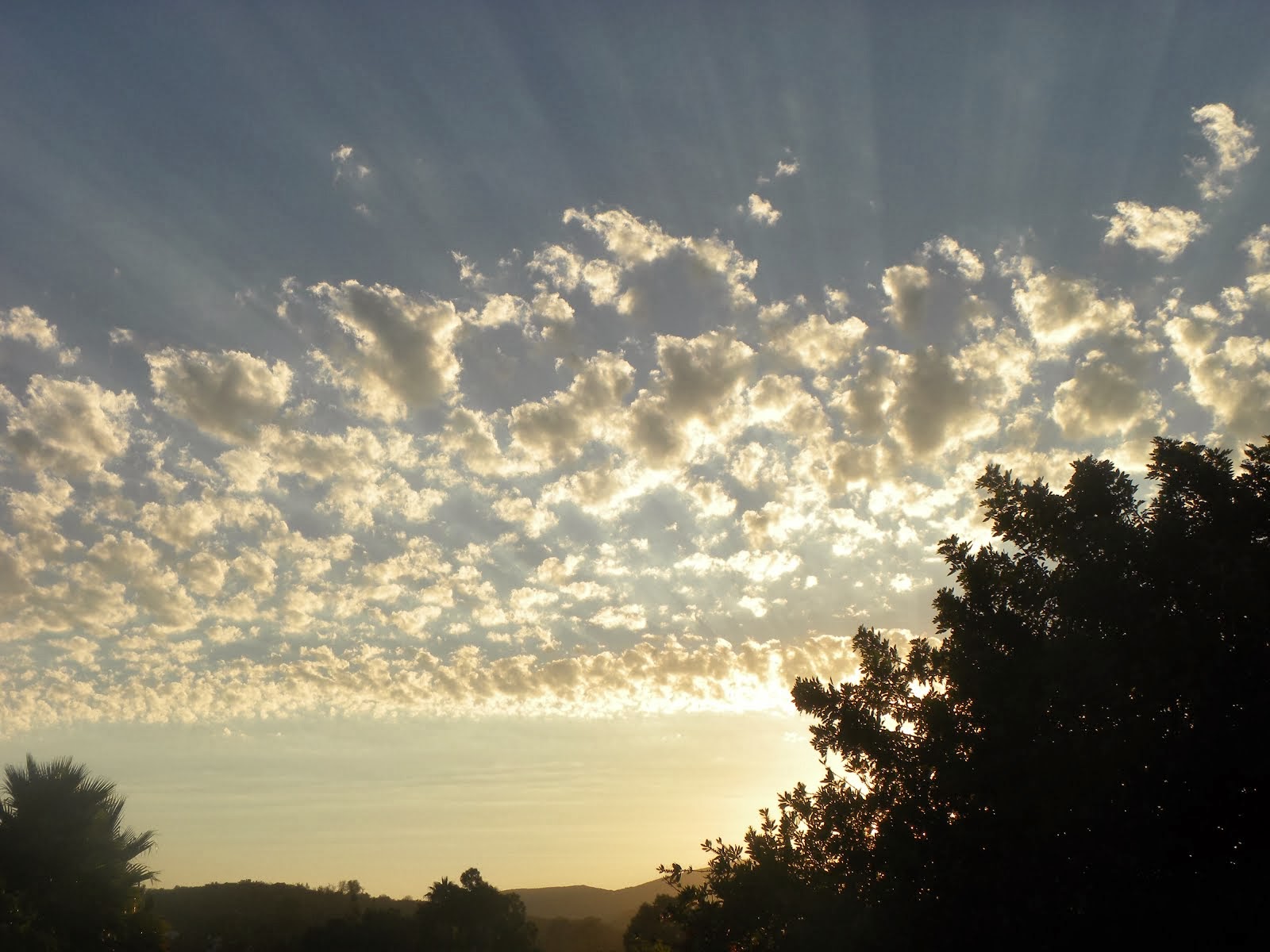 View From My Front Porch