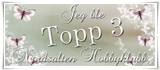 Jeg ble "Topp 3" hos Nordsalten Hobbyklubb: