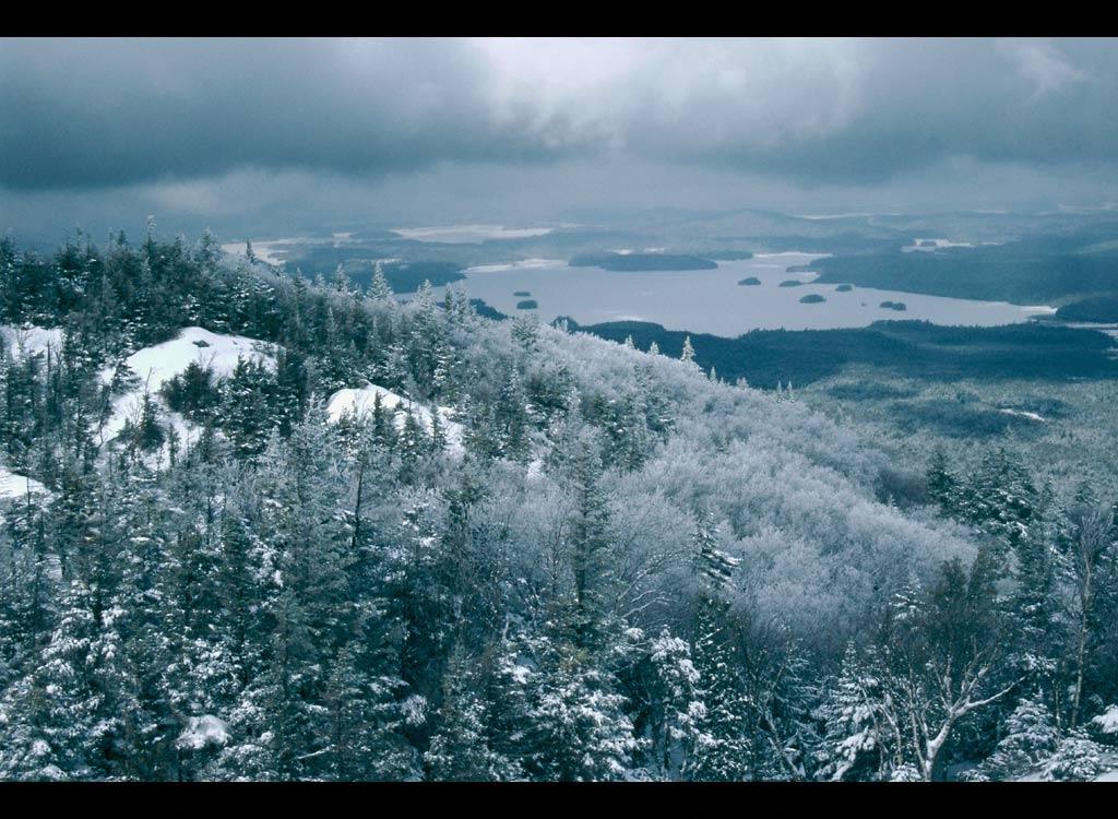 Free High-Definition Wallpapers: Nat Geo Wallpaper Free Download 1024x768