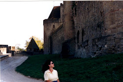 Carcassonne, France the moat