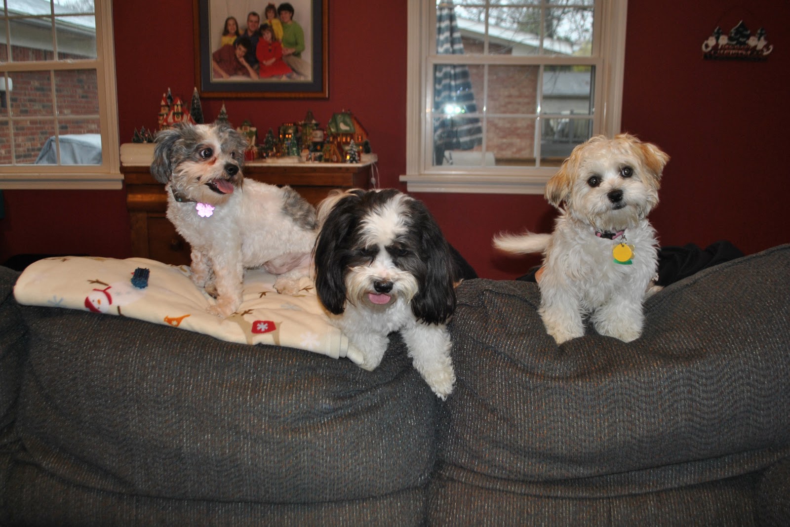 Blackwell+adventure+camp