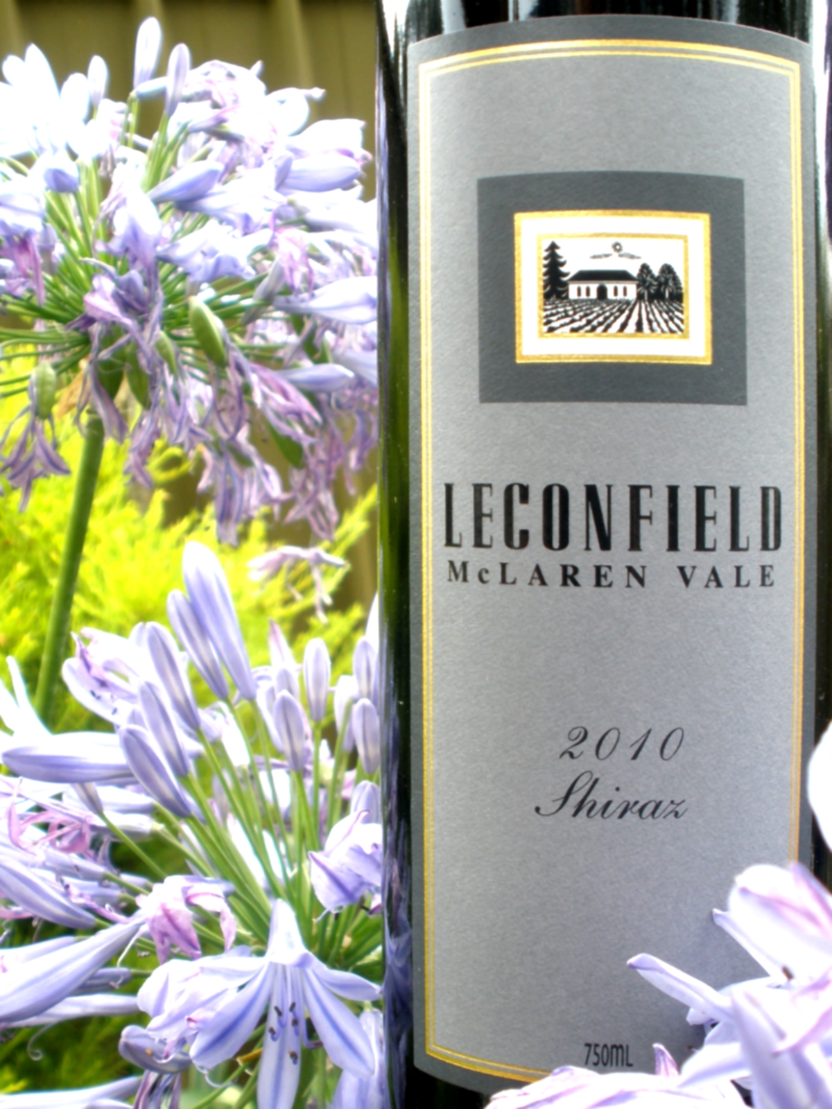 Australian Wine Journal Leconfield Shiraz 2010