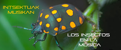 Los insectos en la música /  Intsektuak musikan