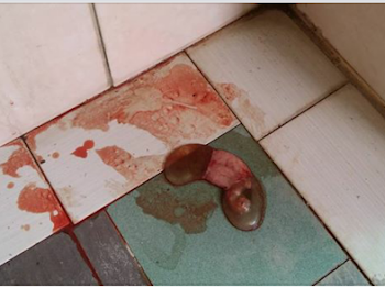 GAMBAR JANIN KEMBAR DALAM TANDAS SURAU DEPAN RUMAH AKU