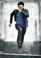 'Yevadu' Movie Gallery Starring Ram Charan Teja, Shruti Haasan